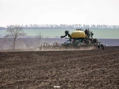 Белгородская область, несмотря на сравнительно небольшую территорию, всегда была одним из флагманов сельского хозяйства страны, в том числе и в растениеводстве