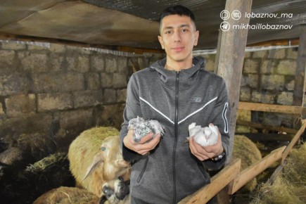 ������ ��������: ������ ���� �����-�������� ��������� ������ ��������� ��������� ��������� ����������� ���������