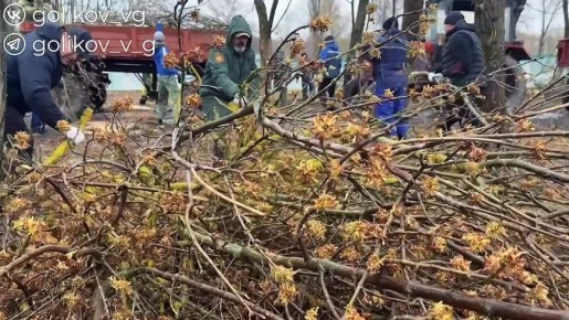 ��������� ������������� ��� � ������, ������� ���������� � ������ ��������� ������������� ��������, ��������������� ������������ ������������ �������