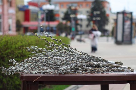 Погода 12 апреля. Сегодня синоптики обещают пасмурную погоду и небольшой дождь