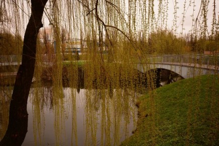 ������ 13 ������. ������� ��������� ������� ��������� �����