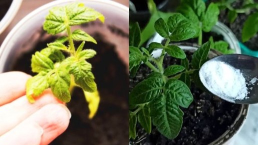 ��� �������� ������� �������� ��������� �������� ������� �� �����