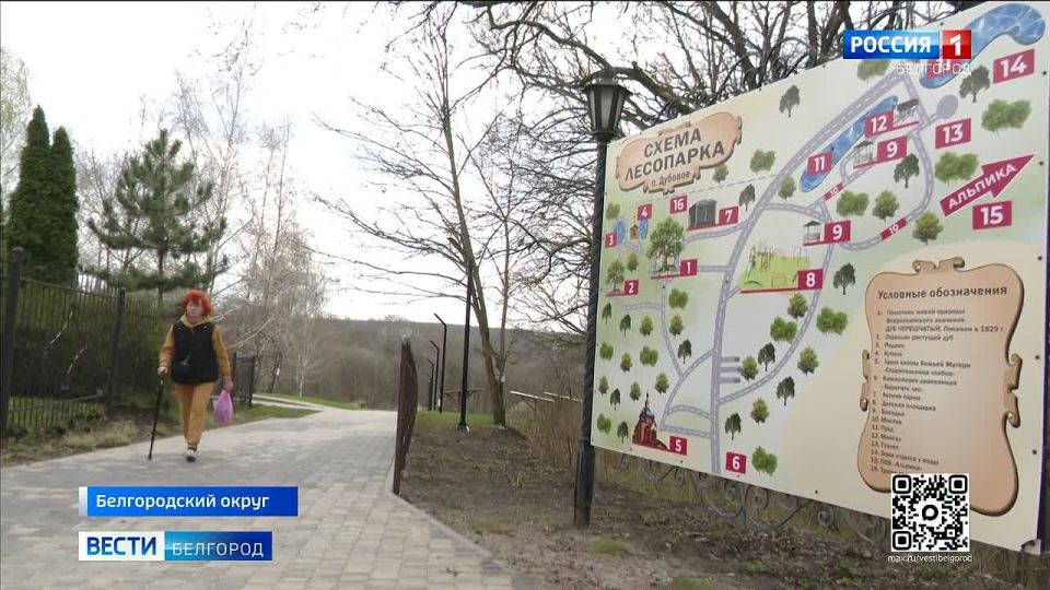 � ���� ���� � ������� ������������ 30 ������������ �����������