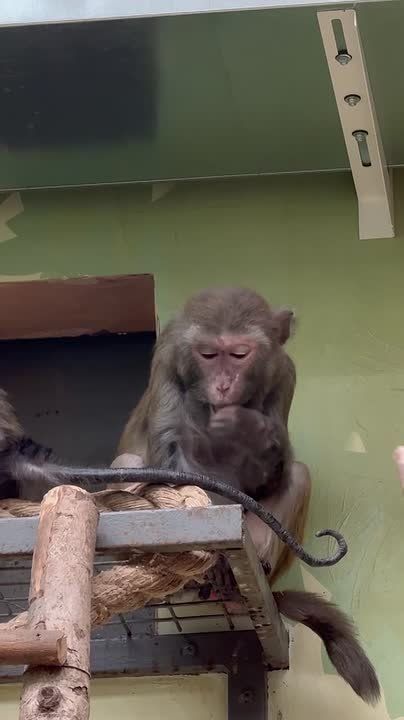 ������ ��� ��������� ���� ��������