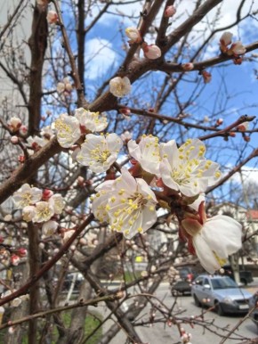 Сегодня, 14 апреля, будет облачно с прояснениями