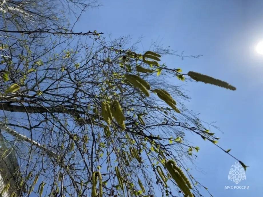 Сегодня на Белгородчине ожидаются порывы ветра до 18 м/с