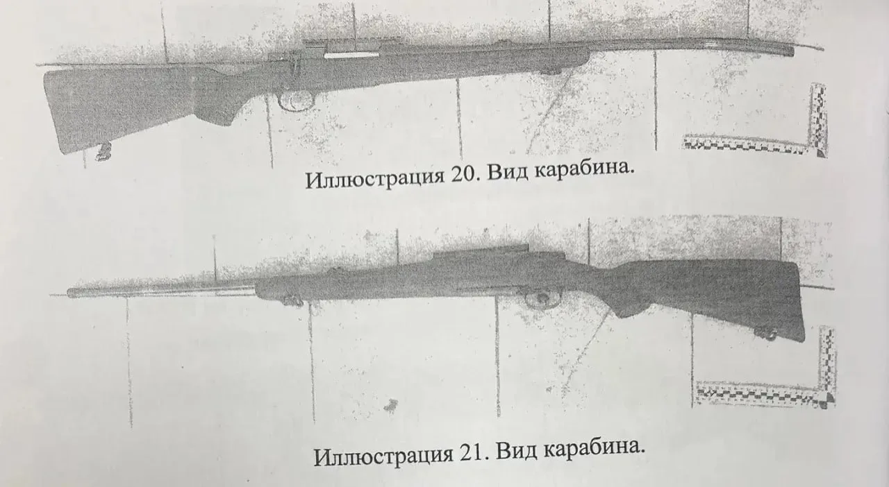 В Старом Осколе мужчину осудили за незаконную охоту на самку кабана на особо охраняемой территории