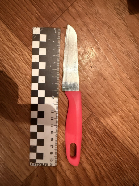 Жительница Корочанского района подозревается в умышленном причинении тяжкого вреда здоровью мужа