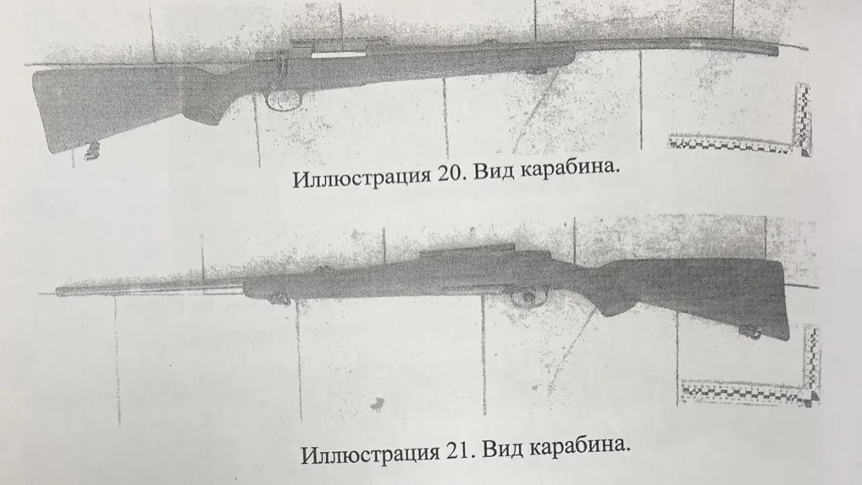 Браконьер из Старого Оскола заплатил 540 тысяч рублей за убитую самку кабана