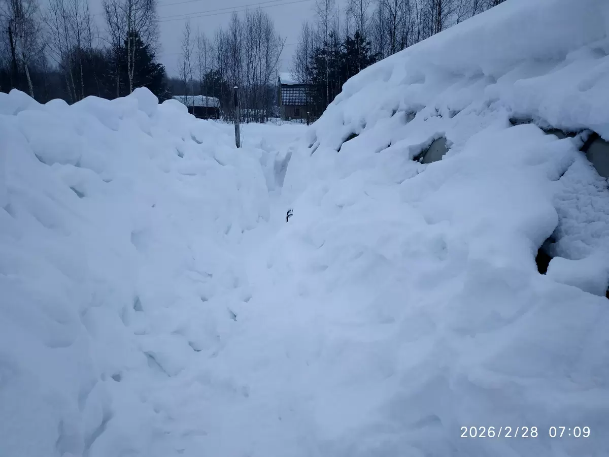 Как подготовить теплицу к весенним посадкам