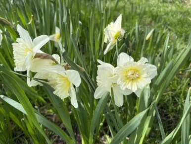 �������, 15 ������, ��� ��� �������� � ������������ ������