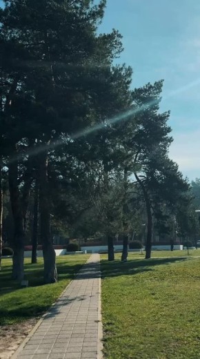 С добрым утром, друзья!. Погода творит чудеса – ещё утром город был окутан туманом, а сейчас солнце радует нас тёплыми лучами