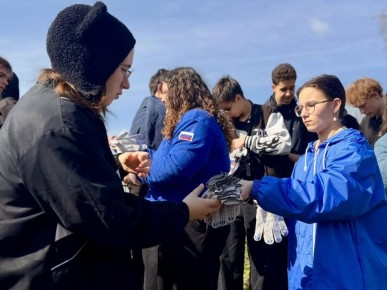 � ������������ ������� ���� ����� �������������� ���������� � ����� �� ��������������� � ���������� ����������, �������� ����, ����� ������ � �������� �����������, ��������� � �������� ������� ������������� �����