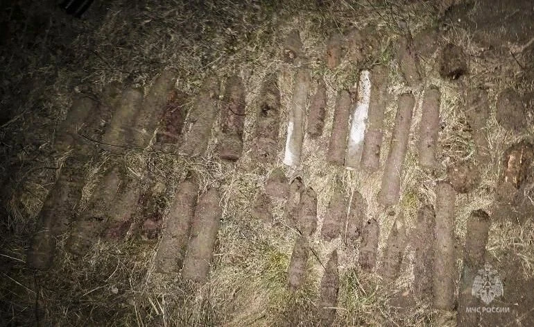 56 боеприпасов времён Великой Отечественной войны нашли в овраге в Белгородской области