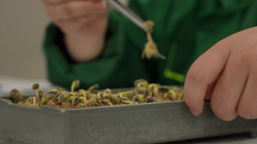 � ������������ ������� �������� ���������� ���� �������������� �������� ������� ����