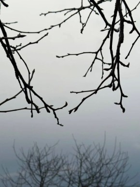 ������ ����, ����������!. ������� ������� ����� ����� ����� ���� ������