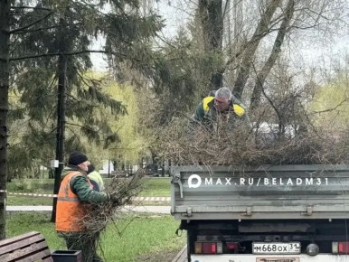 �������� �������� ���������� ���� � ������