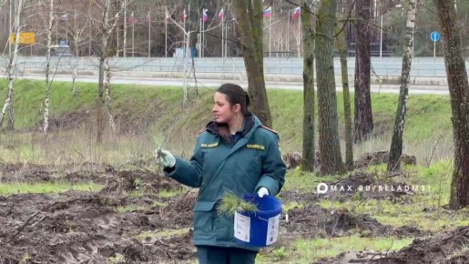 В Белгороде стартовала акция «Сад памяти»