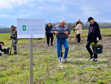 ������� ��������: ������� �� ������� ������ ������ �� ���������� �������� �80 ������ �����ۻ