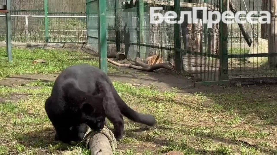 ������� �� ����������!. ��������! ���������� ��������� ����� � ��� ���� ��������