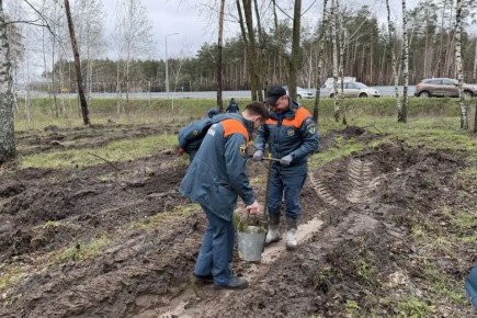 � ������ ����� ���� ������ � ��������� �������� 1000 �������� �����