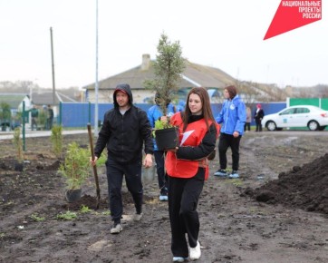 � ����������� ������ ������ ������������� ����� ���� ������