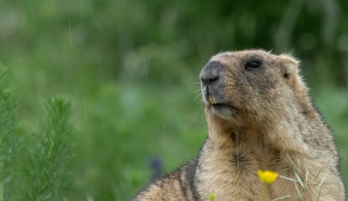 ������ 18 ������. ������� ��������� ������� ����������� � �����