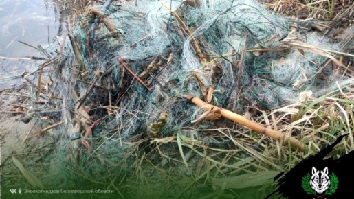 ����� �� ������������� ����� ������ � ������������ ������� � ������ ����