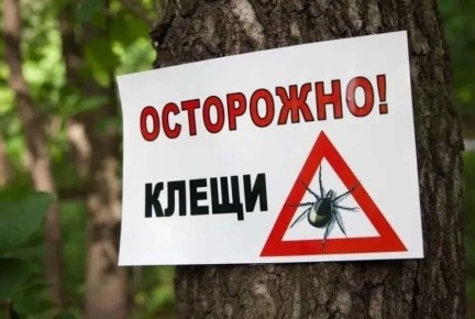 ������� ����������: ������� ������!. ������� ����� ���������� ������