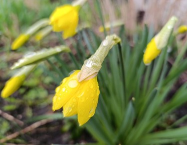 ����� ���� ���������� ���� ������ ����� ��������� ������, �������� � ������������