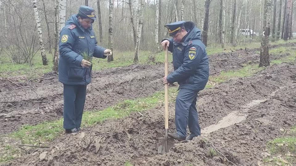 � ������������ ������� ����� �������� ���� � ����� 100-����� ��������� �������