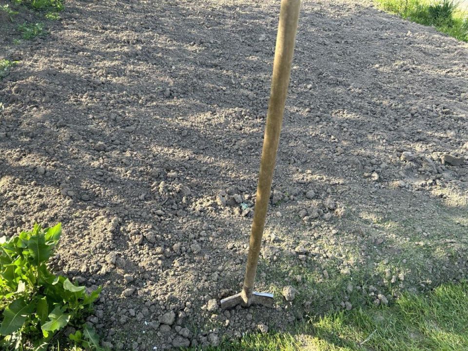 ����������� ����: ������ ��������� ���������� ����� ��� ������� ������