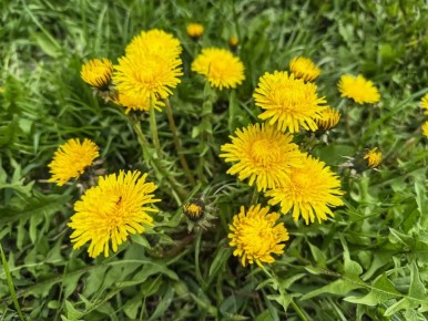 � �����������, 19 ������, ��������� ������������ �������� � ������������ ������