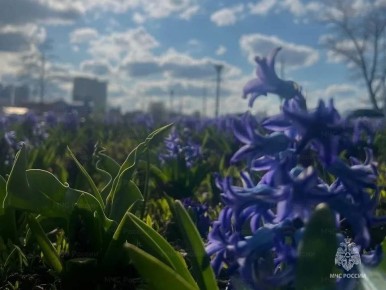 �� ������� � ������� ��� ������������ �������