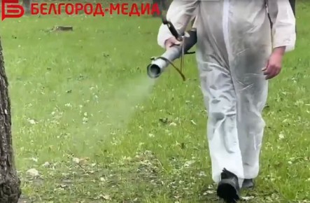 � ������������ ��� � ��������� ���������� � ����������� ��������� ������������ �����������