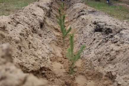 ����������� ����� ������������ ������� ������������� � ������������� ����� ���� ������