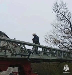 ���������� ��� ������ ���� � ���������