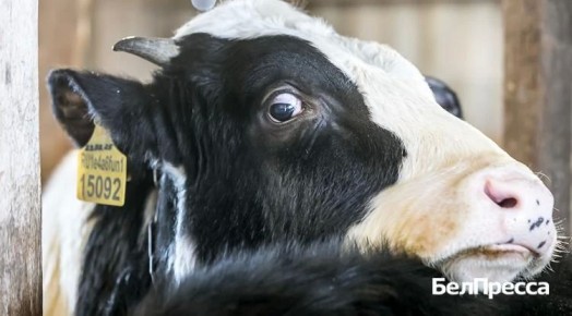 ������������ ������� ��������� ��������� � ������ �� ������� ���� � �����������