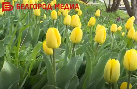 ���������� � �������� ��������� �����