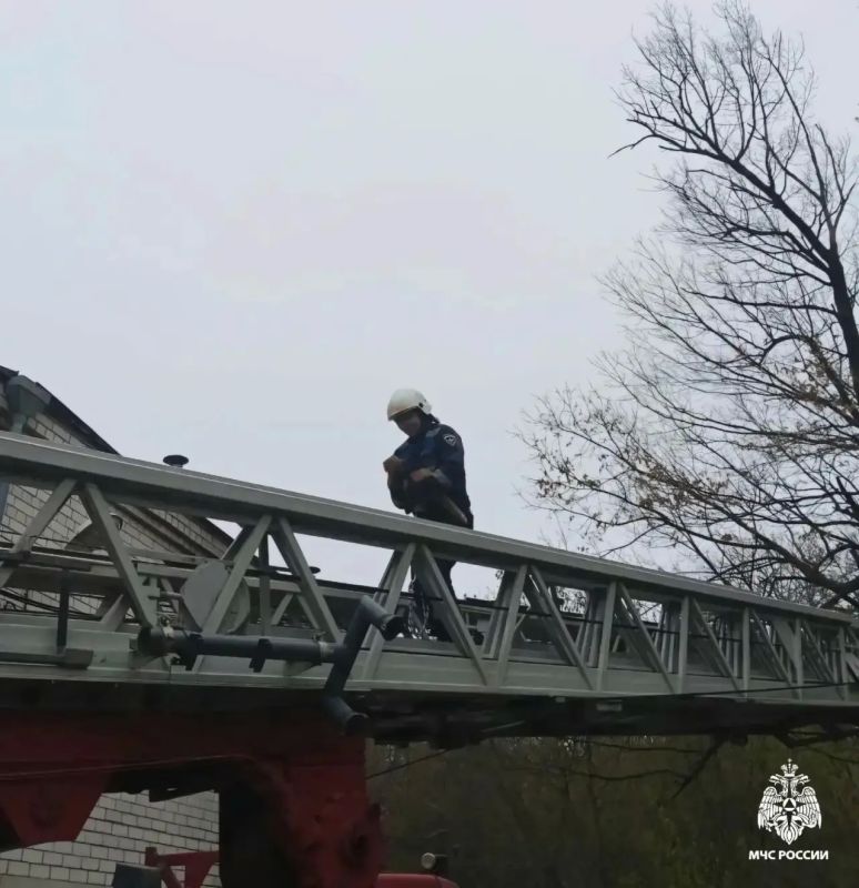 � ��������� ���������� ��� ������ ����