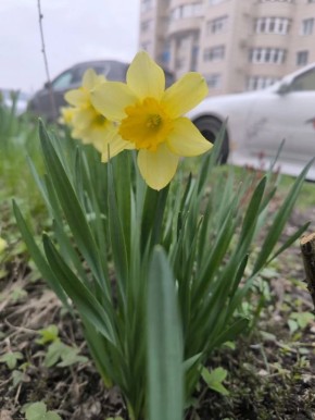 ������ ����, ����������!. ��������� ������������ �� +8 �������� � ��������� ����� ��������� ����������� �� �������