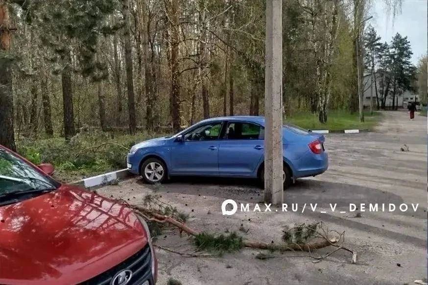 � ��������� ����������� �������� ���������� ������