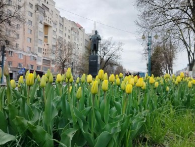 ������� ����� ����� �������