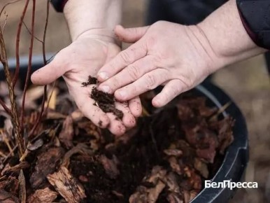 � �������� ��������� ������������ ���������� ��������