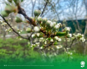 23 ������. ����������� ������� 11�, �������, ��������������� �����