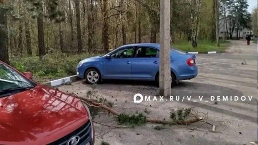 ��� ��������� ������� � ������������ ���� ��� �� ����� �� �������� �����