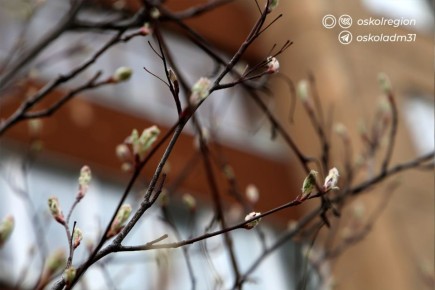 ������ ����, �������������!