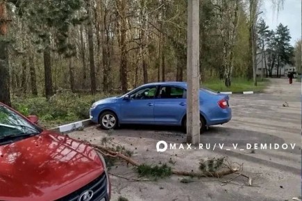 �������� �������: ��������� ������������ ������������ ������� ��� ������ �����