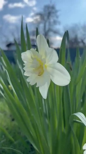 ������ 23 ������. ������� ��������� ������� �����