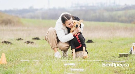 ������������ ������� ������� ������ ���������� �� ��������� �� �������� ���